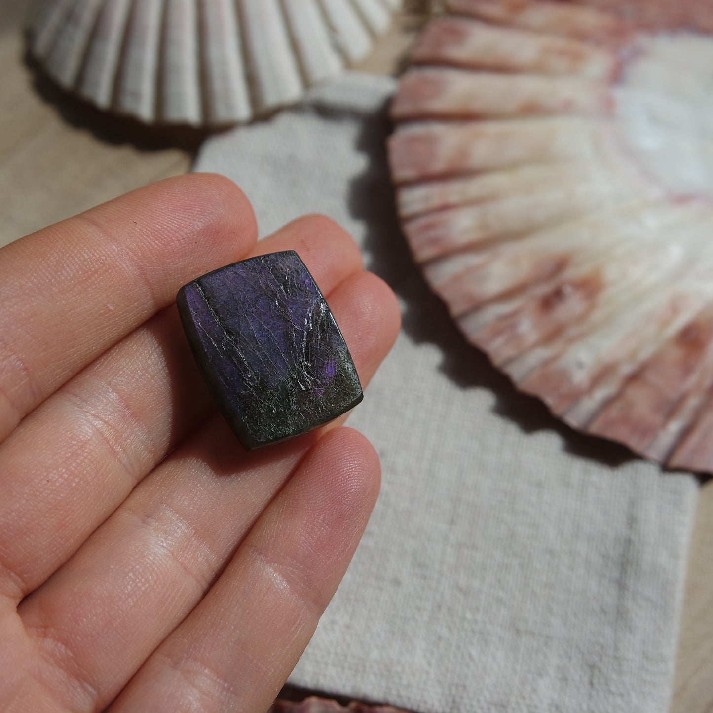 Lila Labradorit Cabochon ~ 14xj