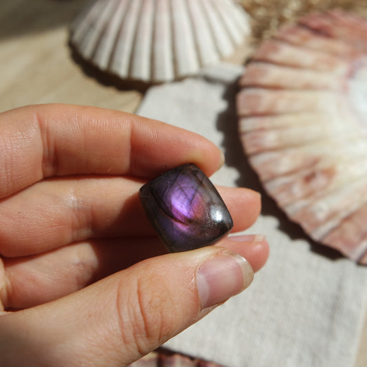 Lila Labradorit Cabochon ~ 14XM