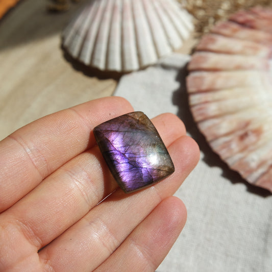 Lila Labradorit Cabochon ~ 14XN