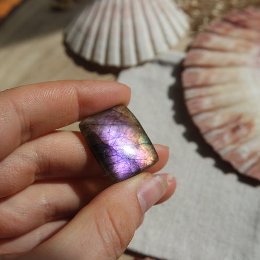 Lila Labradorit Cabochon ~ 14XN