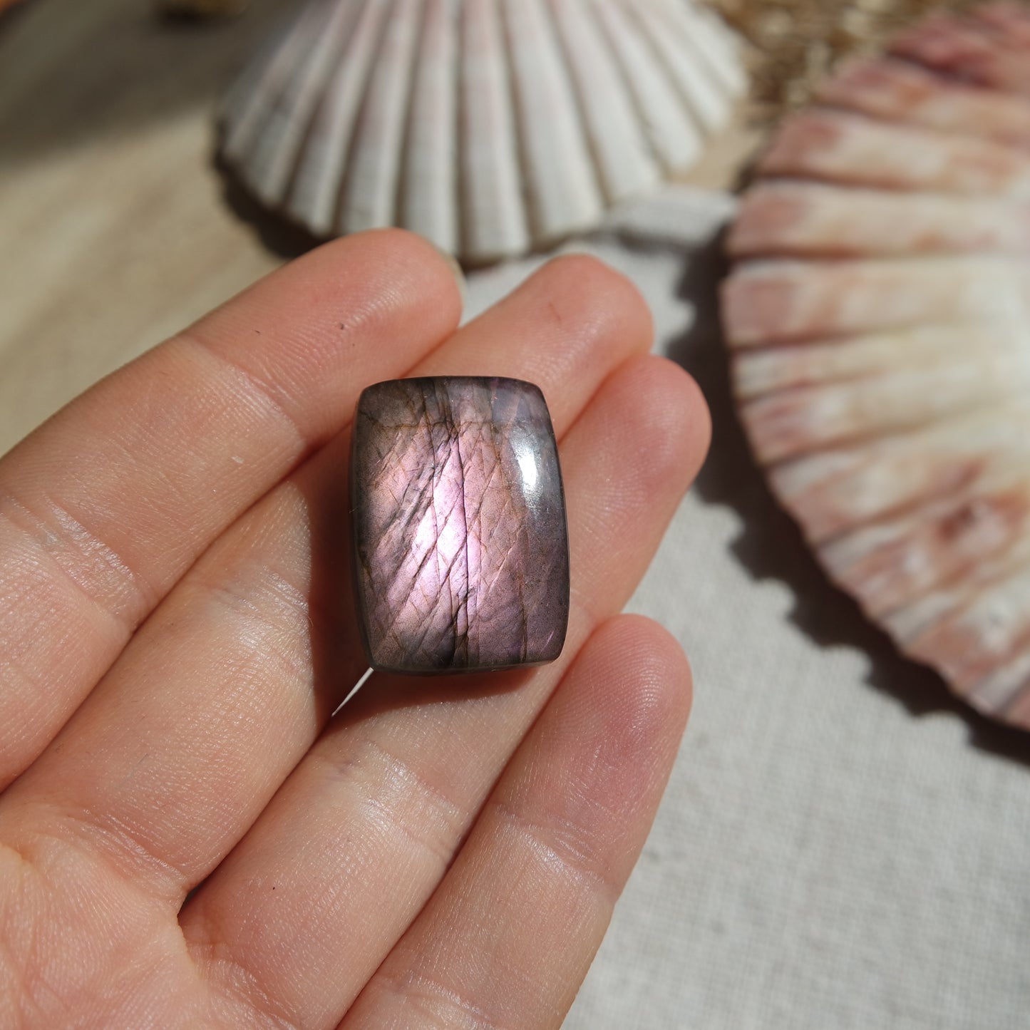 Lila Labradorit Cabochon ~ 14XO
