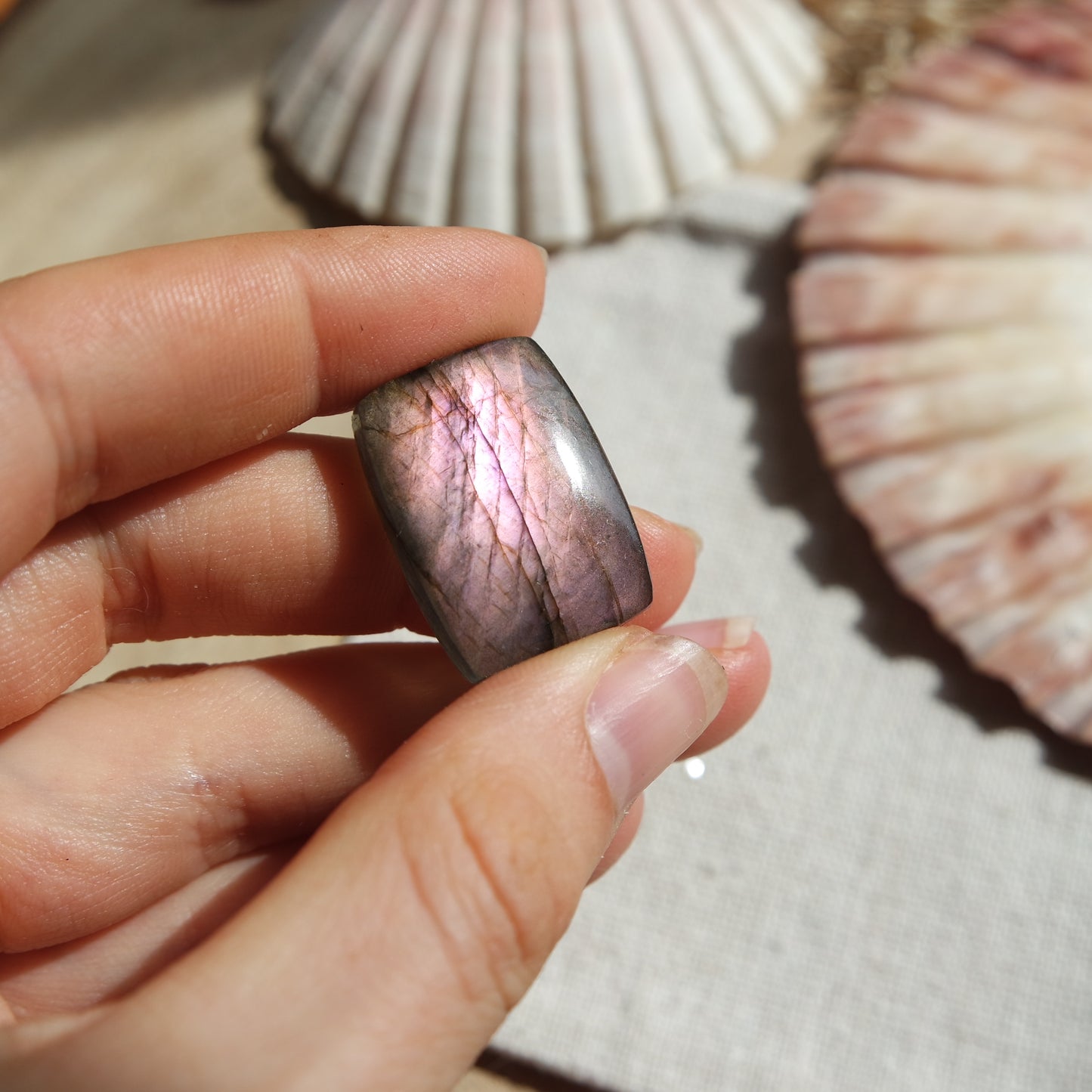 Lila Labradorit Cabochon ~ 14XO