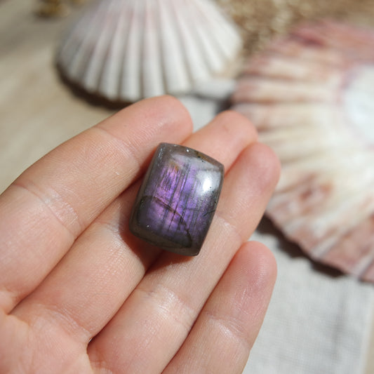 Lila Labradorit Cabochon ~ 14XQ