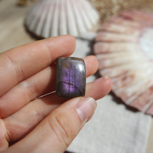 Lila Labradorit Cabochon ~ 14XQ