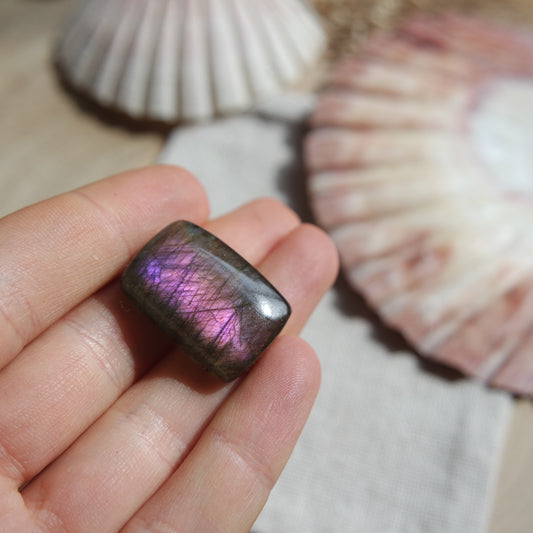 Lila Labradorit Cabochon ~ 16YA