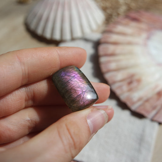 Lila Labradorit Cabochon ~ 16YA