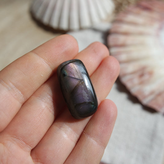 Lila Labradorit Cabochon ~ 16YB