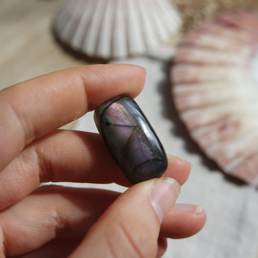 Lila Labradorit Cabochon ~ 16YB