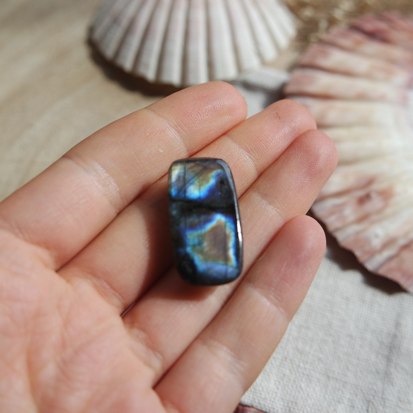Lila Labradorit Cabochon ~ 16YB