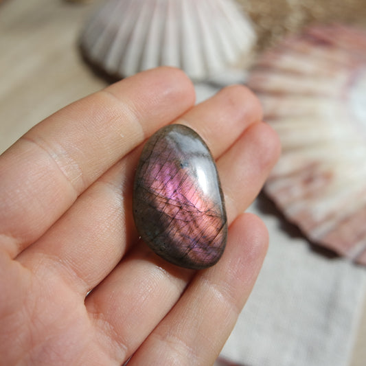 Lila Labradorit Cabochon ~ 16YD