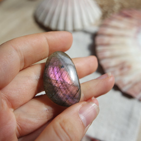Lila Labradorit Cabochon ~ 16YD