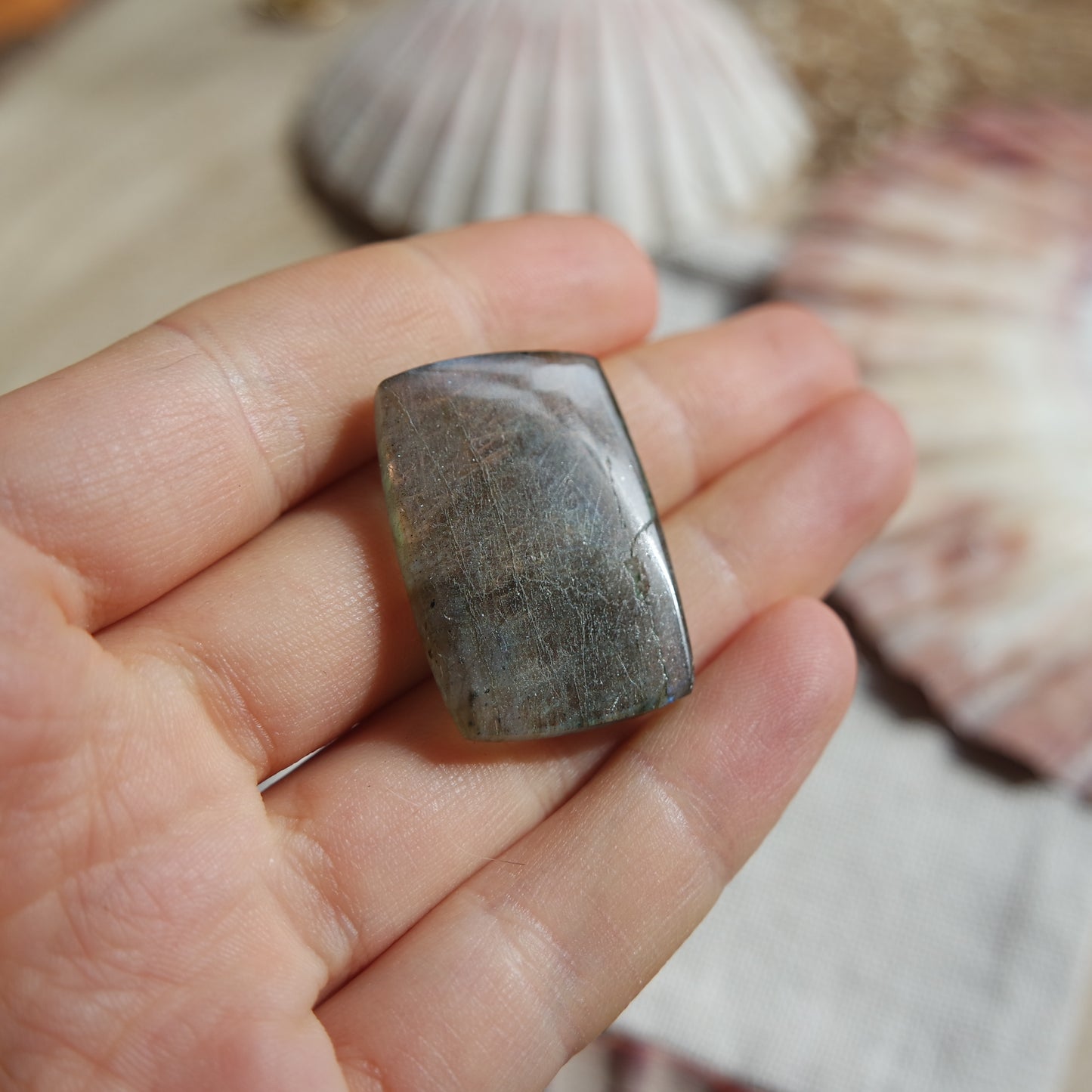 Lila Labradorit Cabochon ~ 18Zi