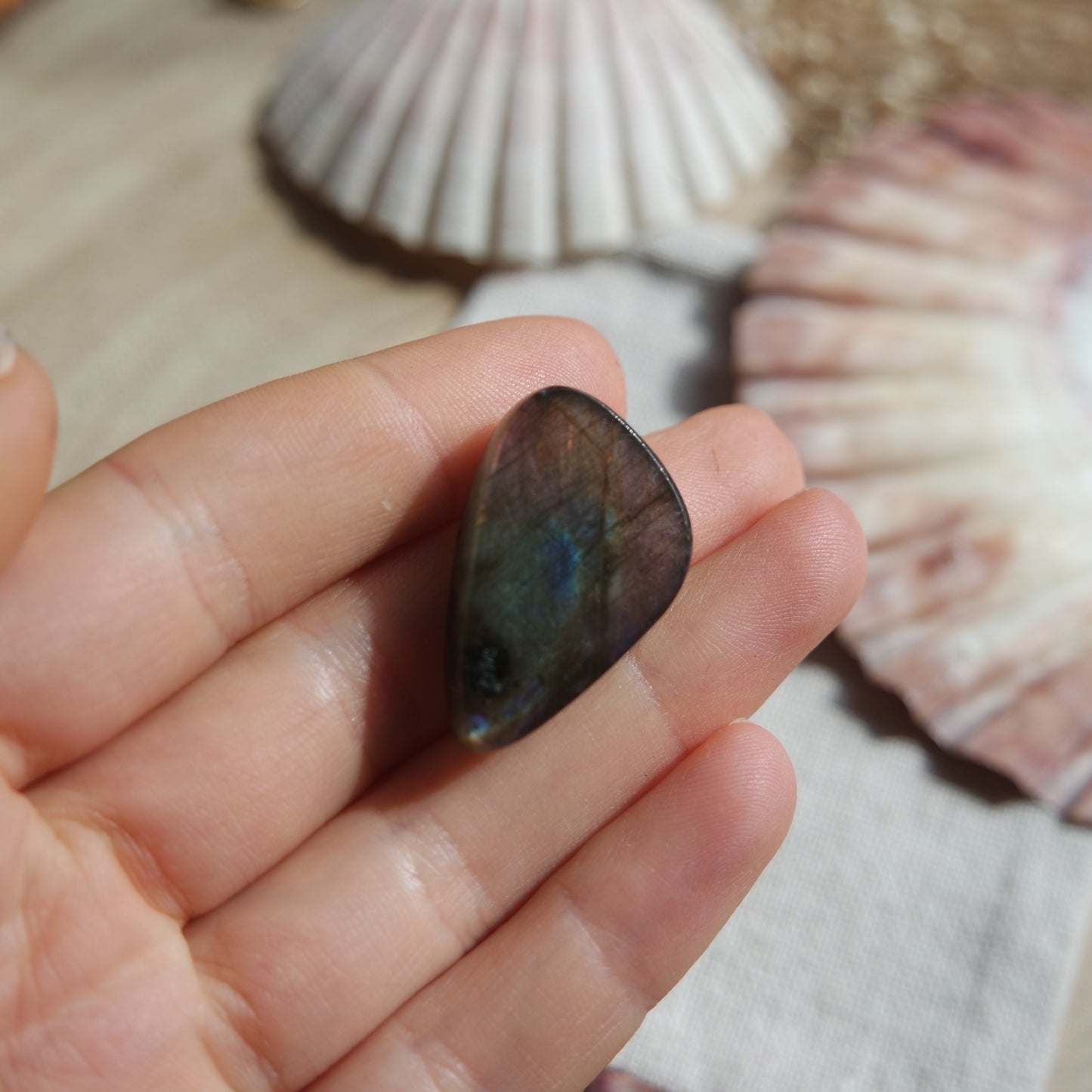 Lila Labradorit Cabochon ~ 18ZJ