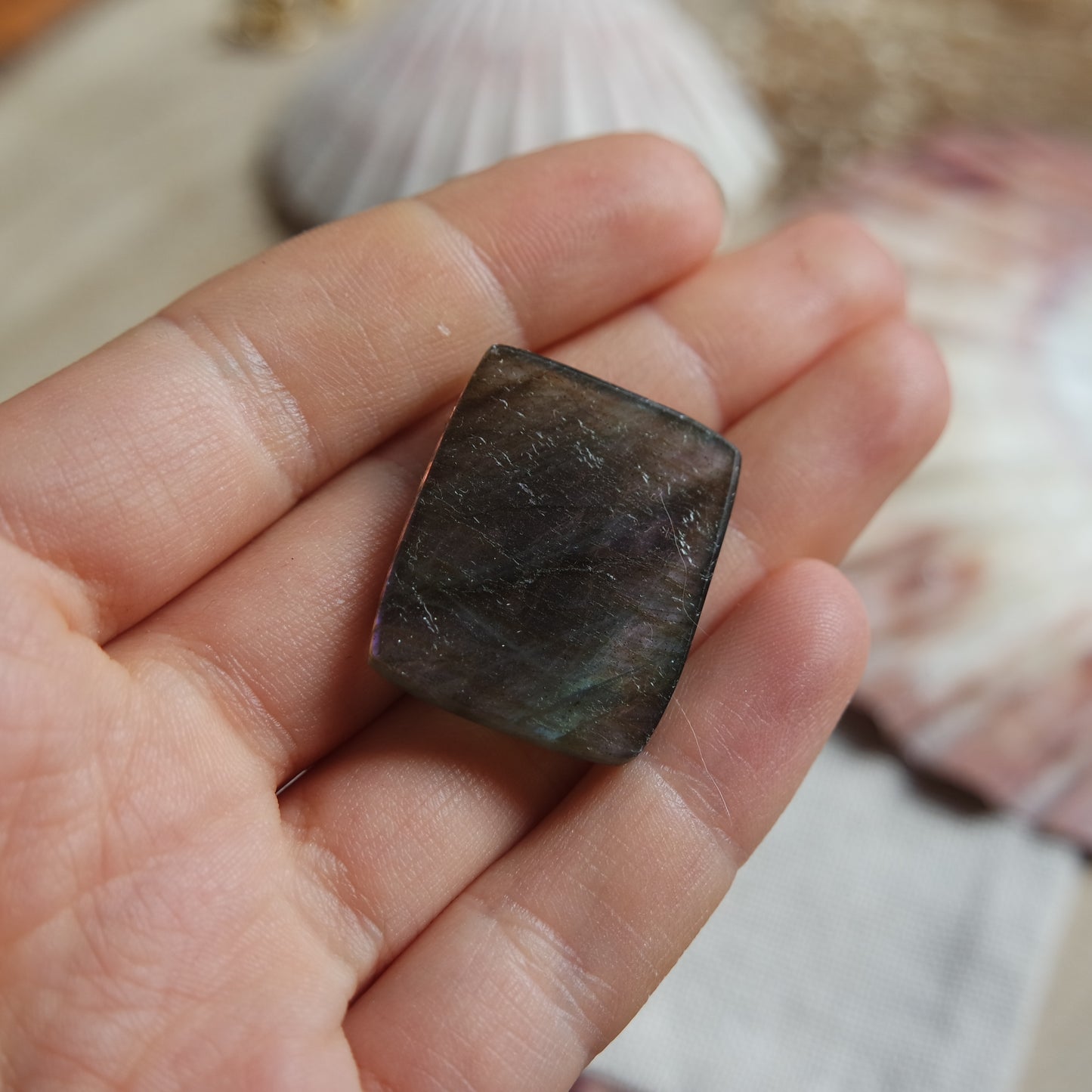 Lila Labradorit Cabochon ~ 18ZL