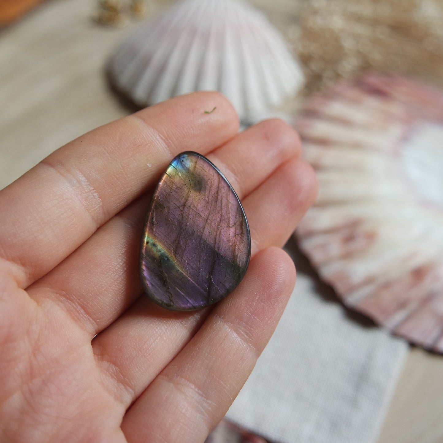 Lila Labradorit Cabochon ~ 21YA