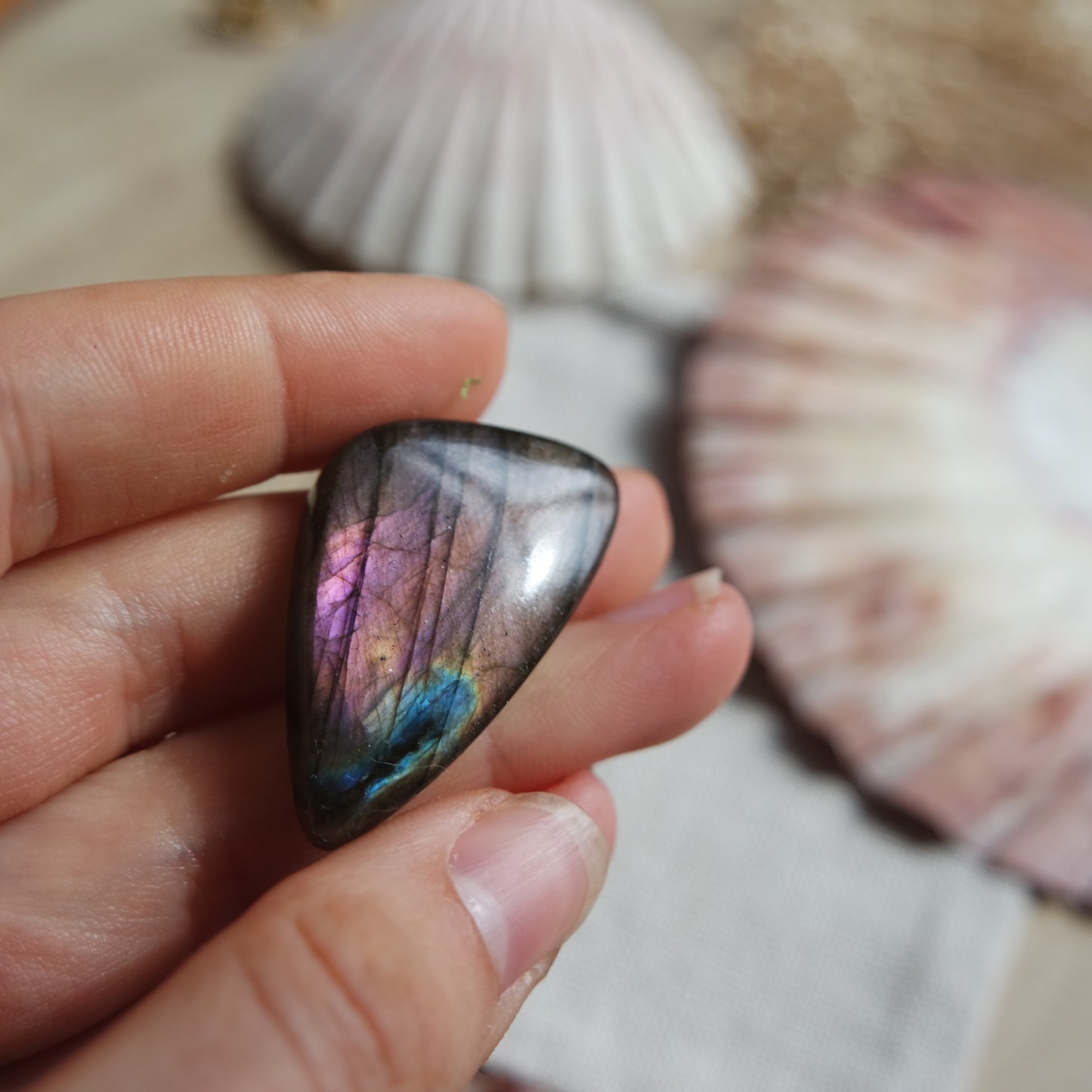 Lila Labradorit Cabochon ~ 22YA