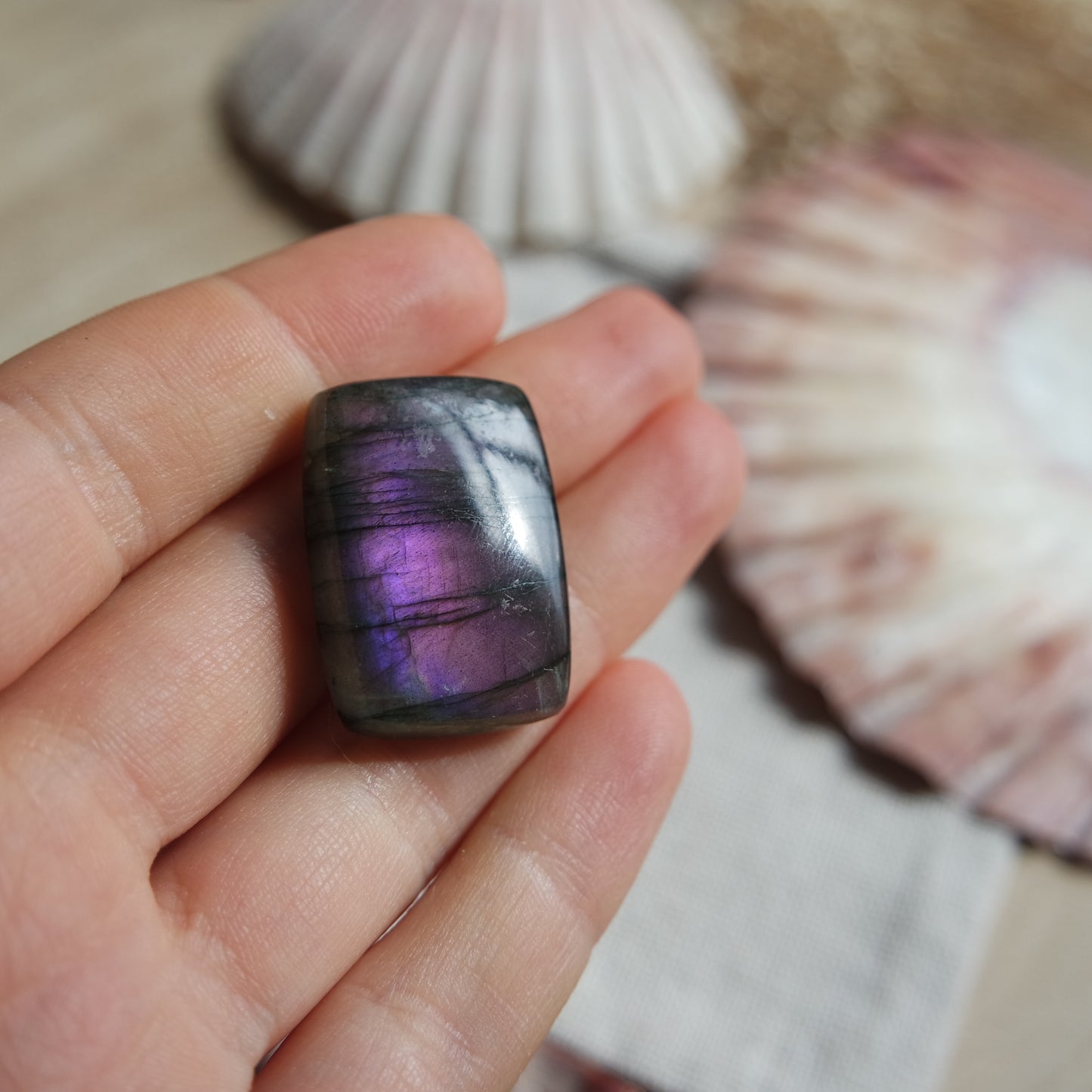 Lila Labradorit Cabochon ~ 22YB