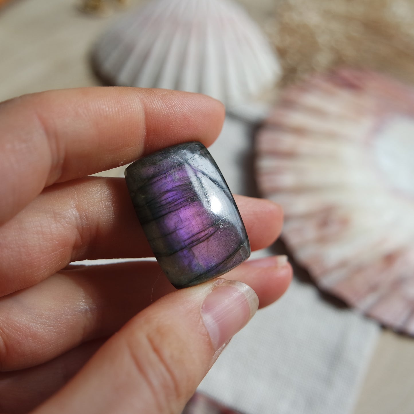 Lila Labradorit Cabochon ~ 22YB