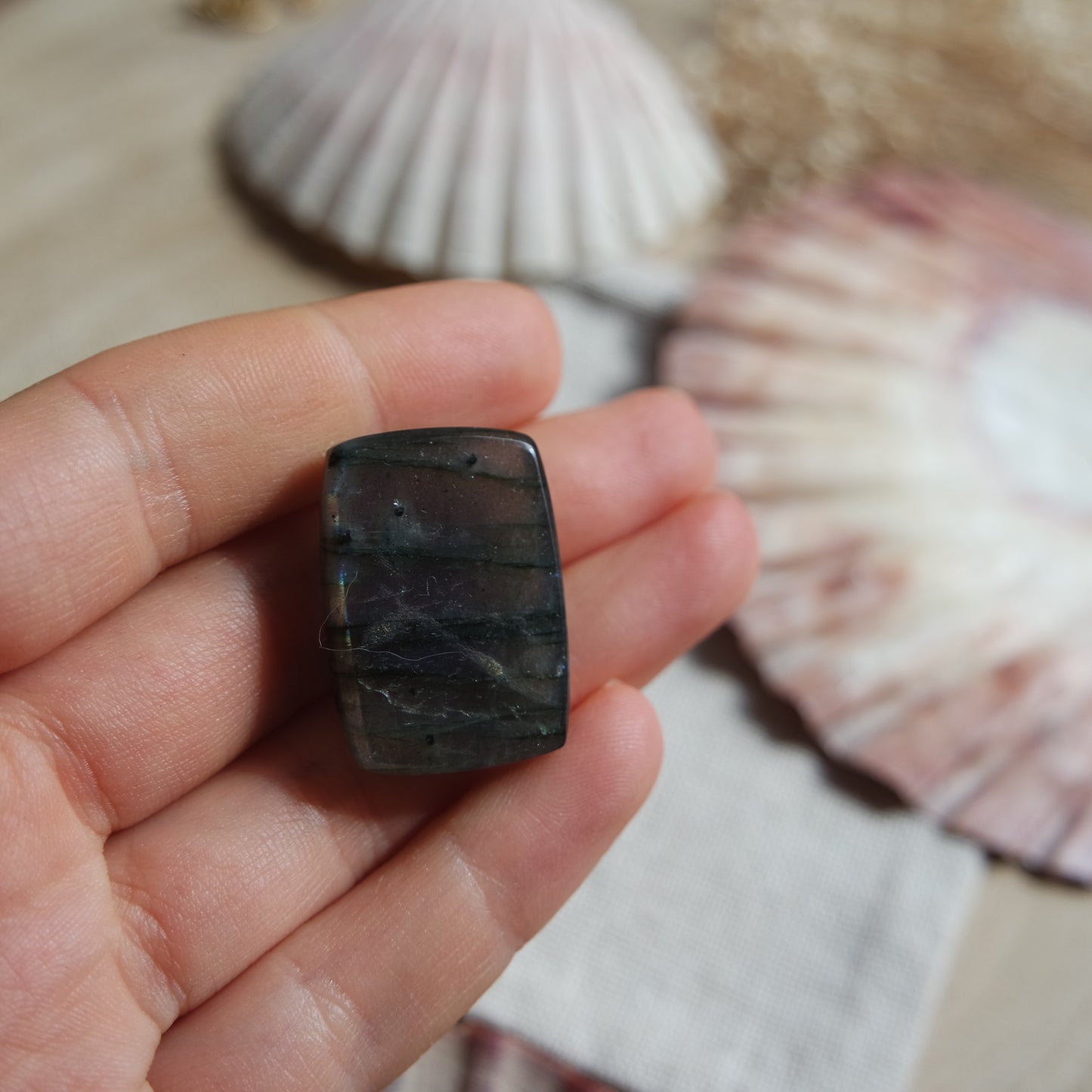 Lila Labradorit Cabochon ~ 22YB