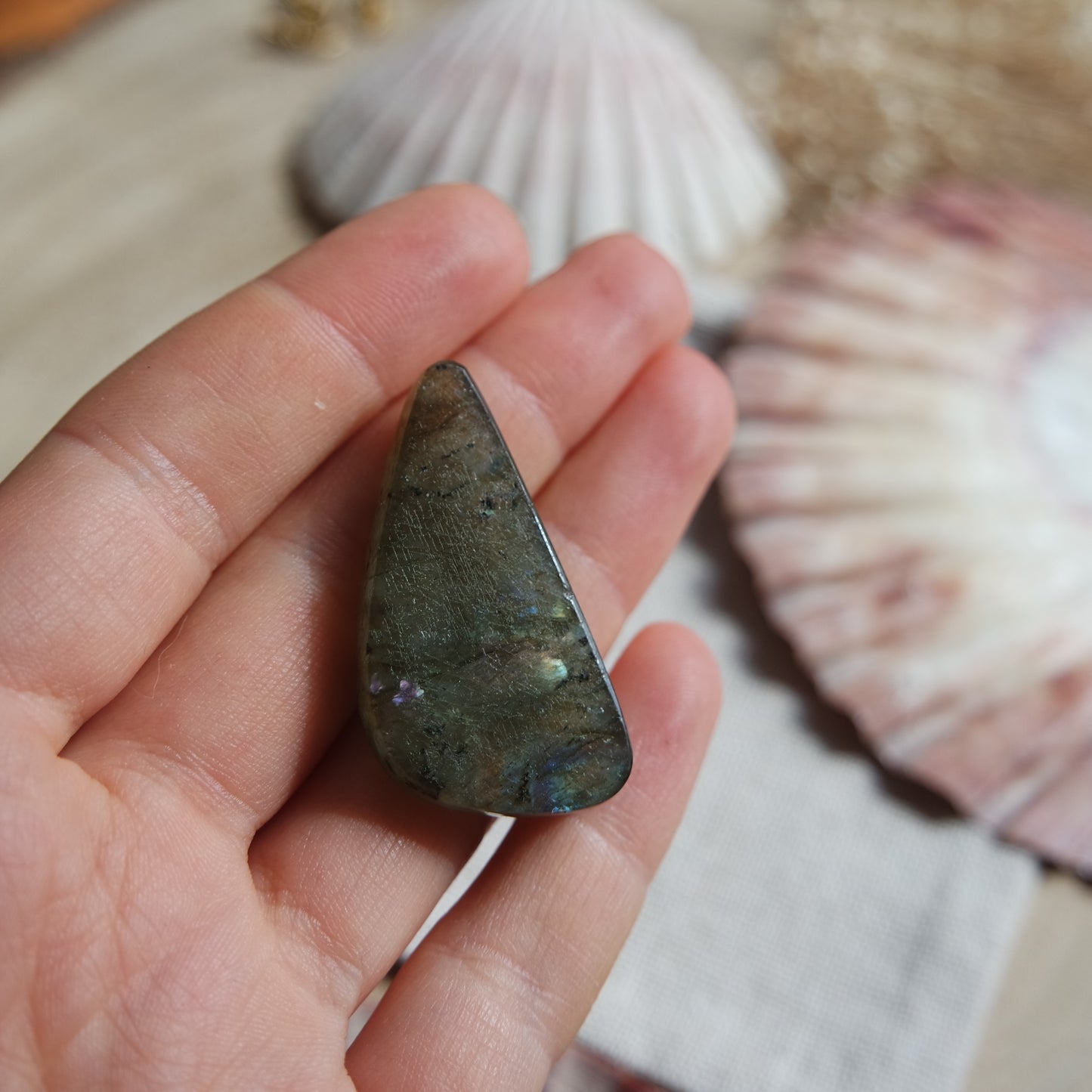 Lila Labradorit Cabochon ~ 24ya