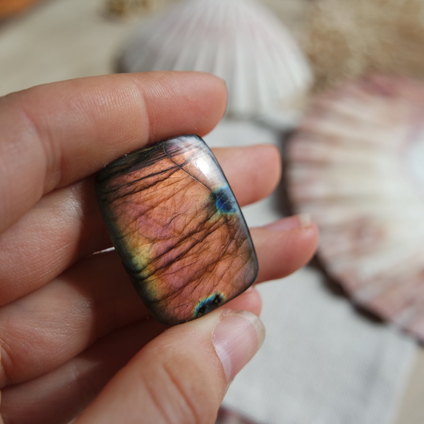 Lila Labradorit Cabochon ~ 24yb