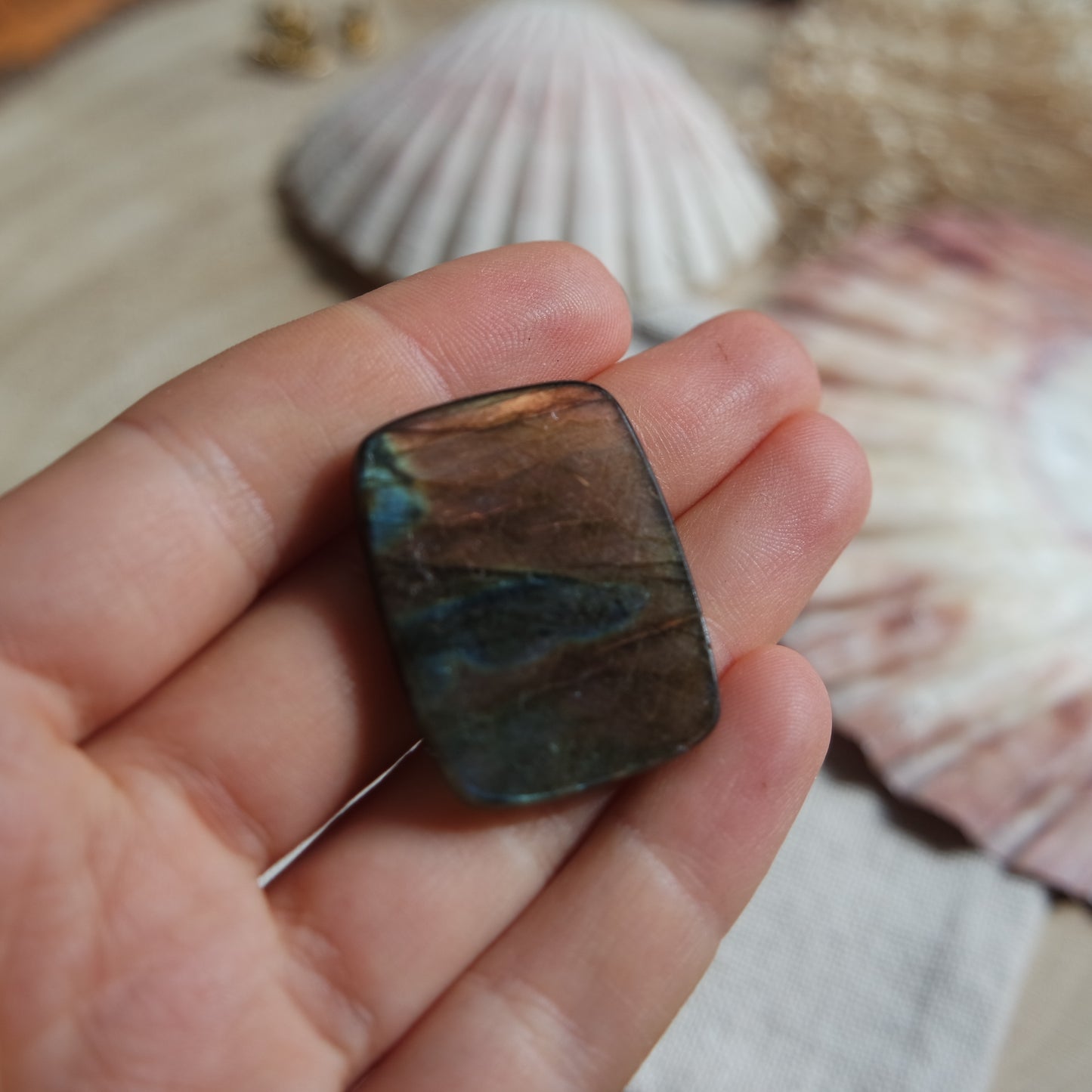 Lila Labradorit Cabochon ~ 24yb