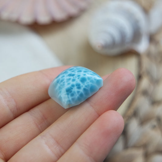 Larimar Cabochon ~ 108L