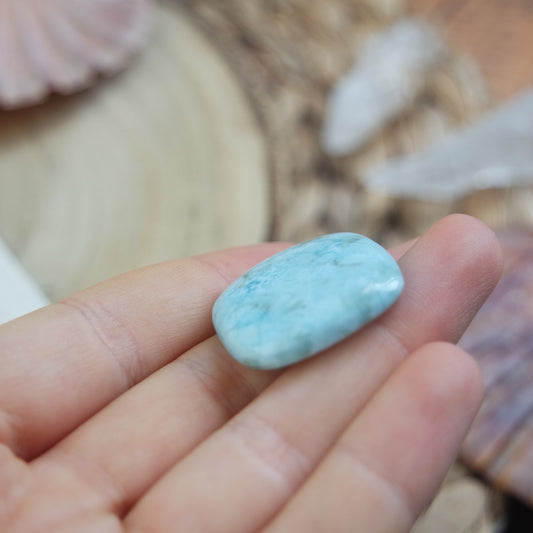 Larimar Cabochon ~ 41L