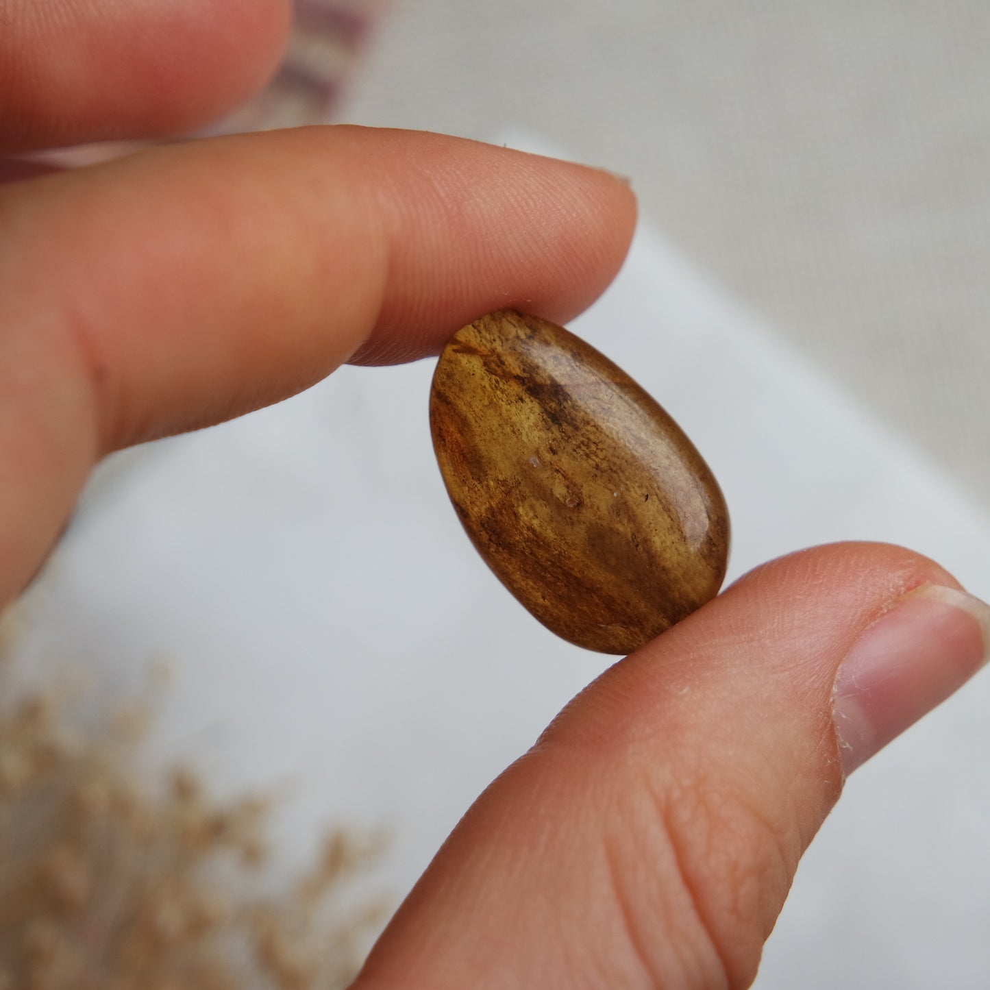 Bernstein Cabochon aus der Karibik ~ B12