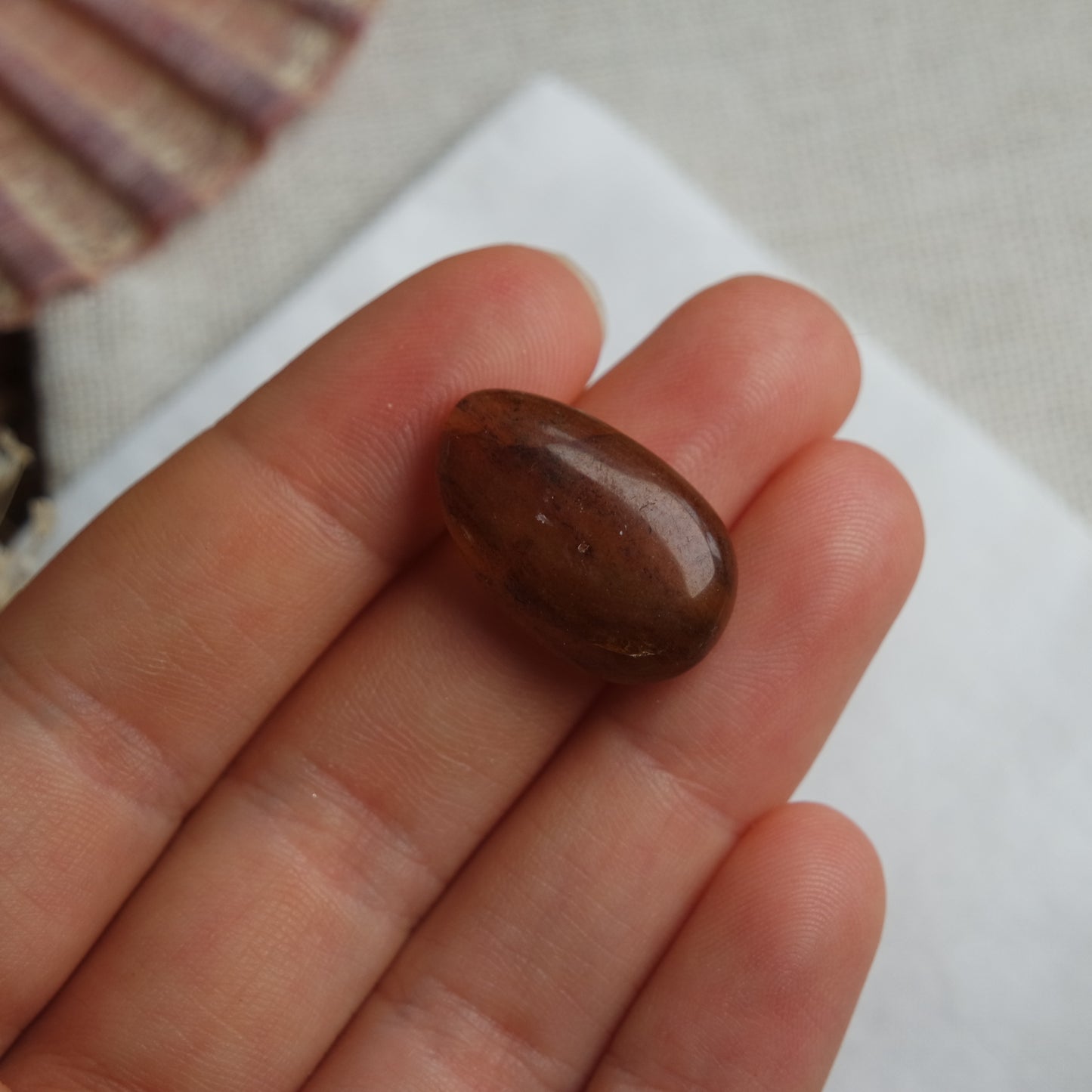 Bernstein Cabochon aus der Karibik ~ B12