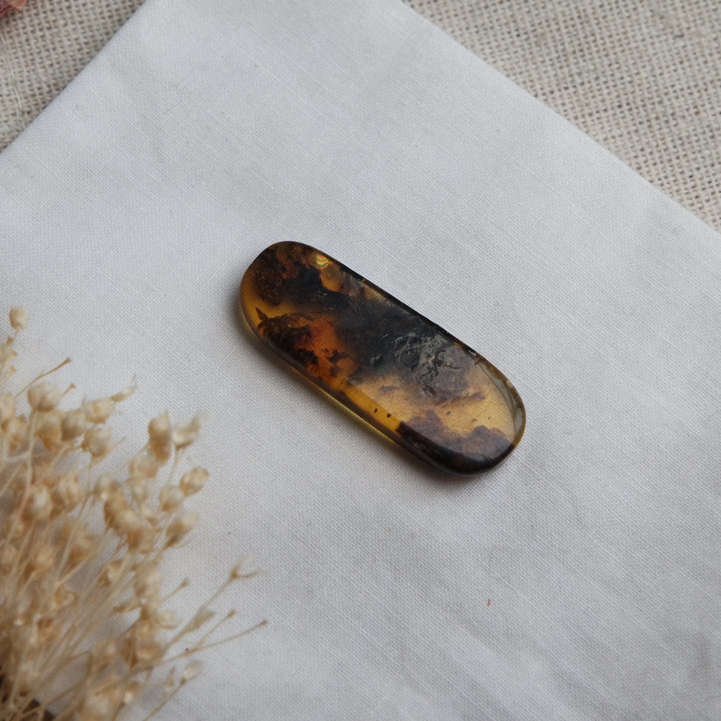 Bernstein Cabochon aus der Karibik ~ B18