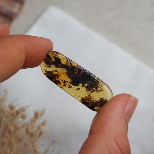 Bernstein Cabochon aus der Karibik ~ B18