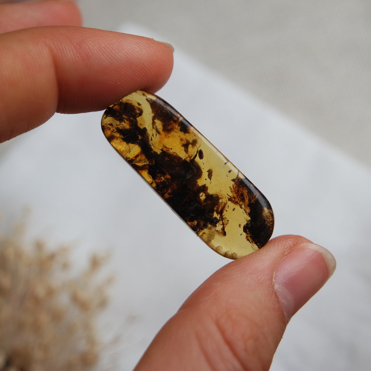 Bernstein Cabochon aus der Karibik ~ B18