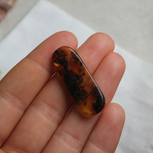 Bernstein Cabochon aus der Karibik ~ B18