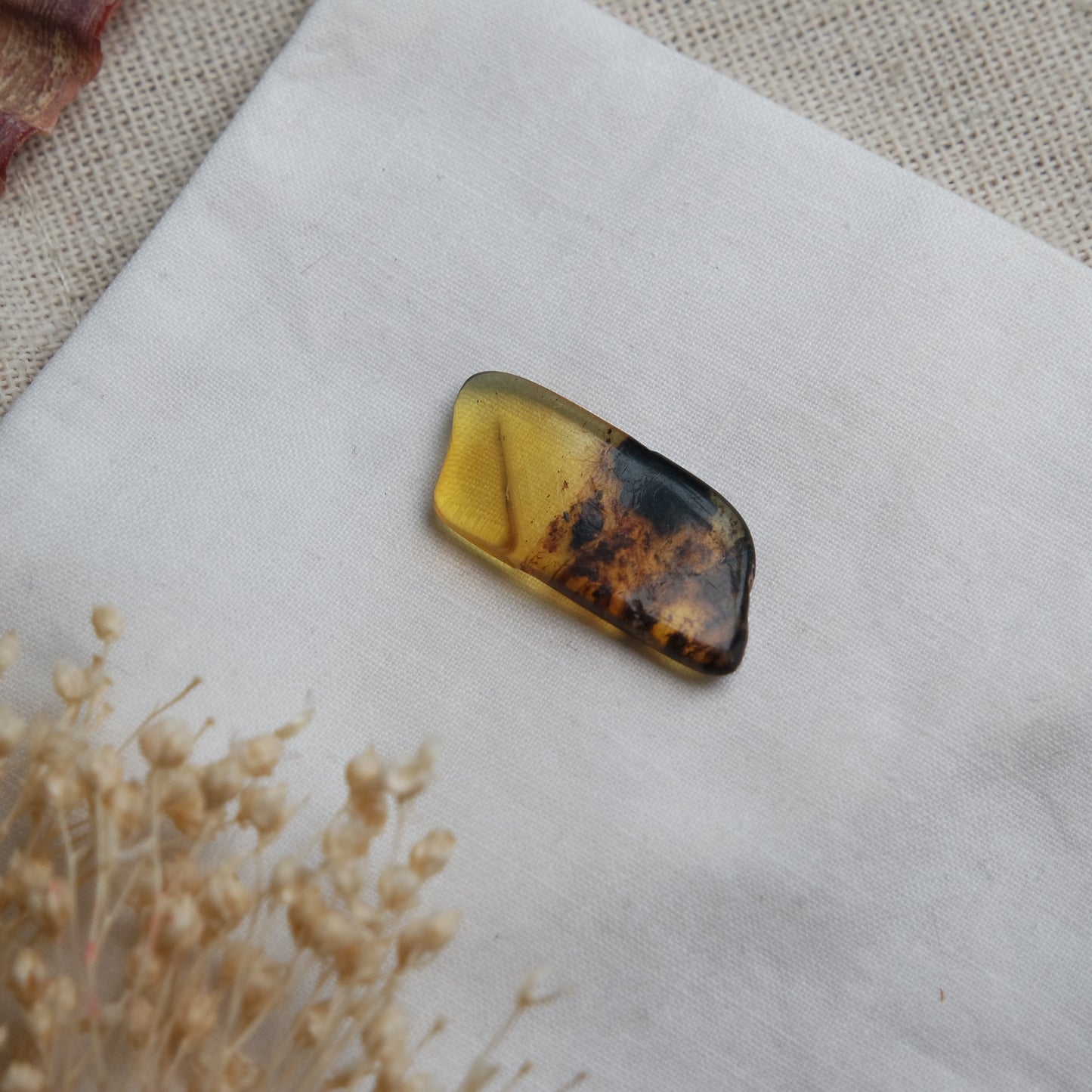 Bernstein Cabochon aus der Karibik ~ B7
