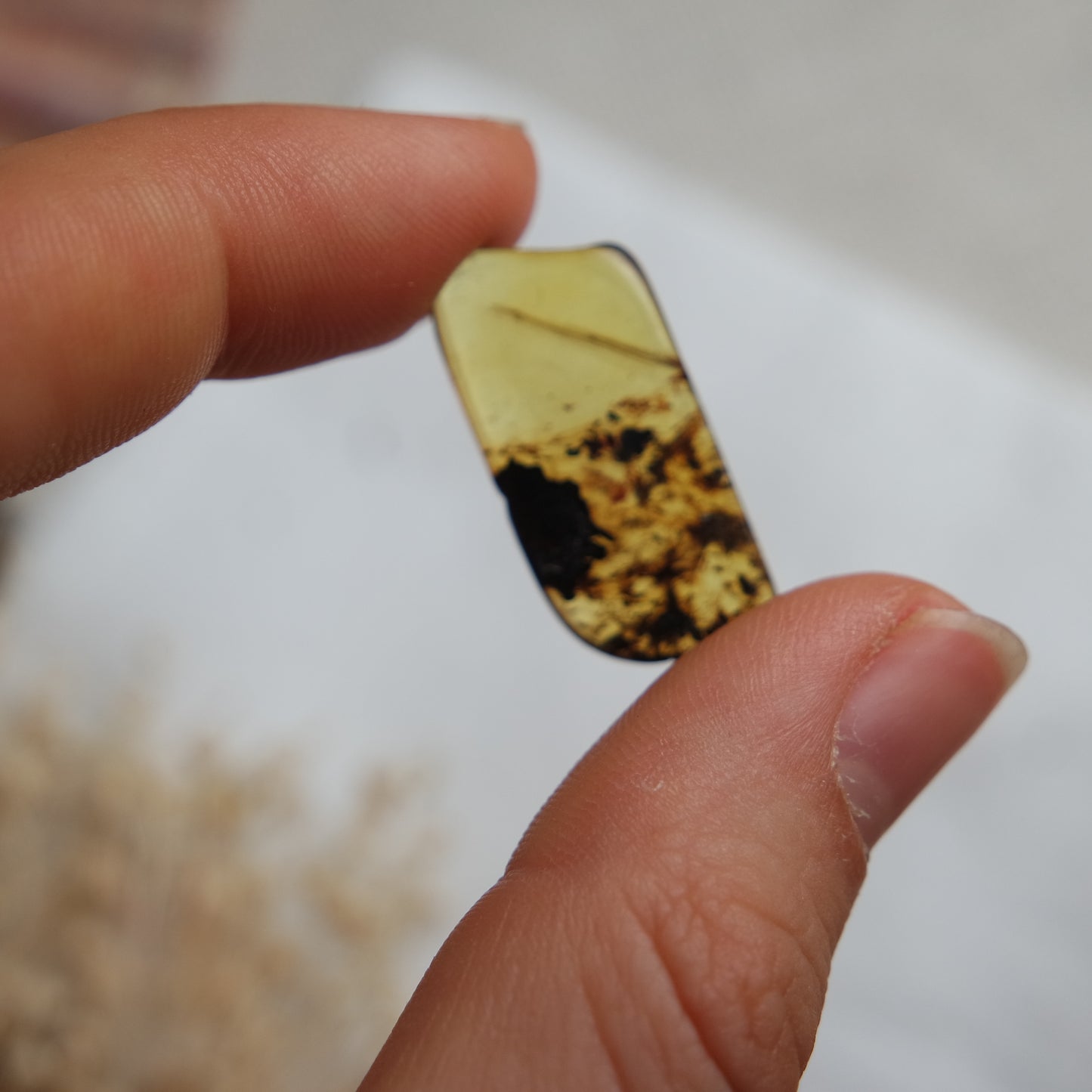Bernstein Cabochon aus der Karibik ~ B7