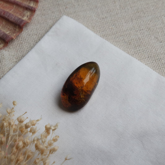 Bernstein Cabochon aus der Karibik ~ B23