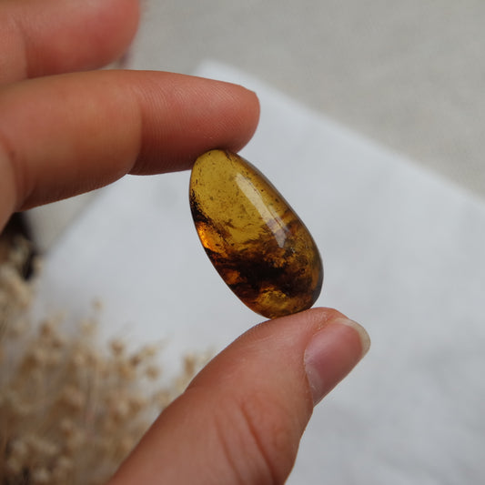 Bernstein Cabochon aus der Karibik ~ B23