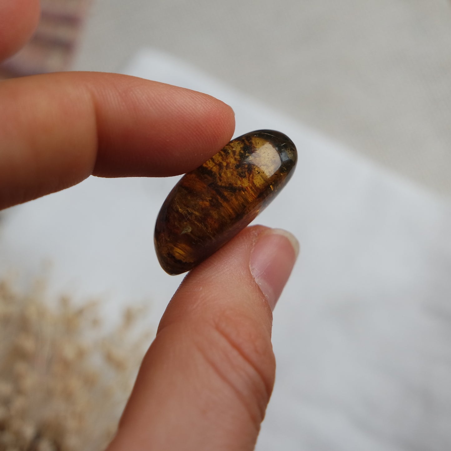 Bernstein Cabochon aus der Karibik ~ B23
