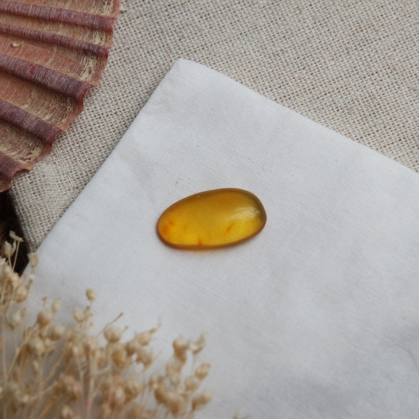 Bernstein Cabochon aus der Karibik ~ B8