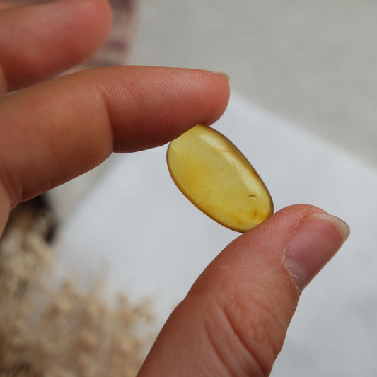 Bernstein Cabochon aus der Karibik ~ B8