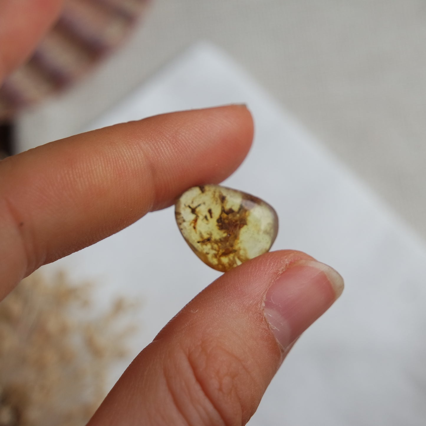 Bernstein Cabochon aus der Karibik ~ B6
