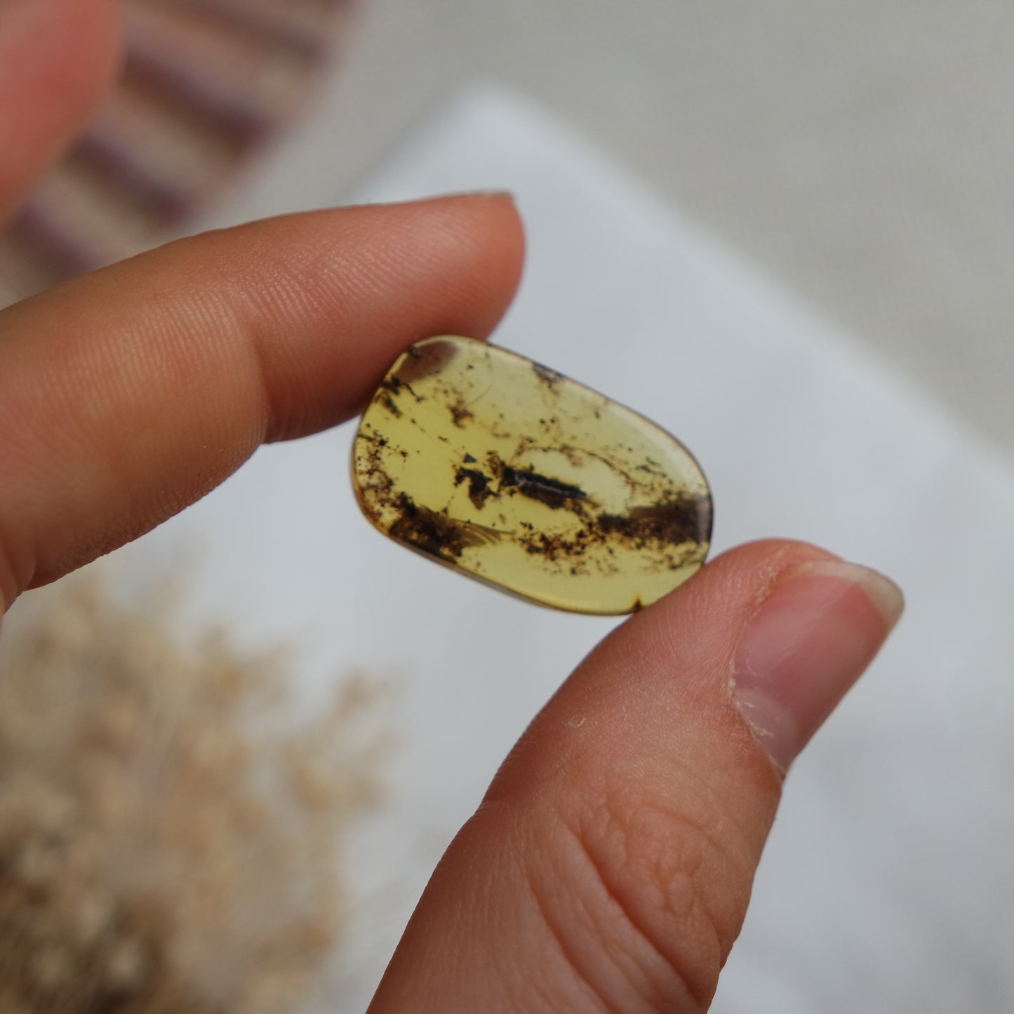 Bernstein Cabochon aus der Karibik ~ B11