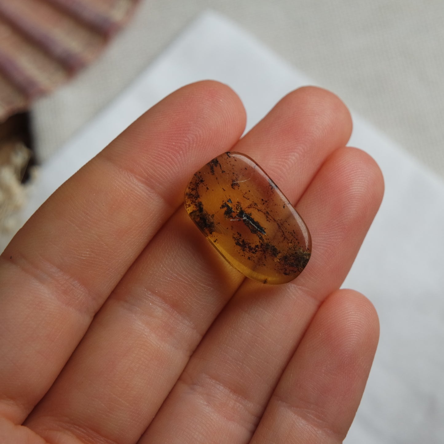 Bernstein Cabochon aus der Karibik ~ B11
