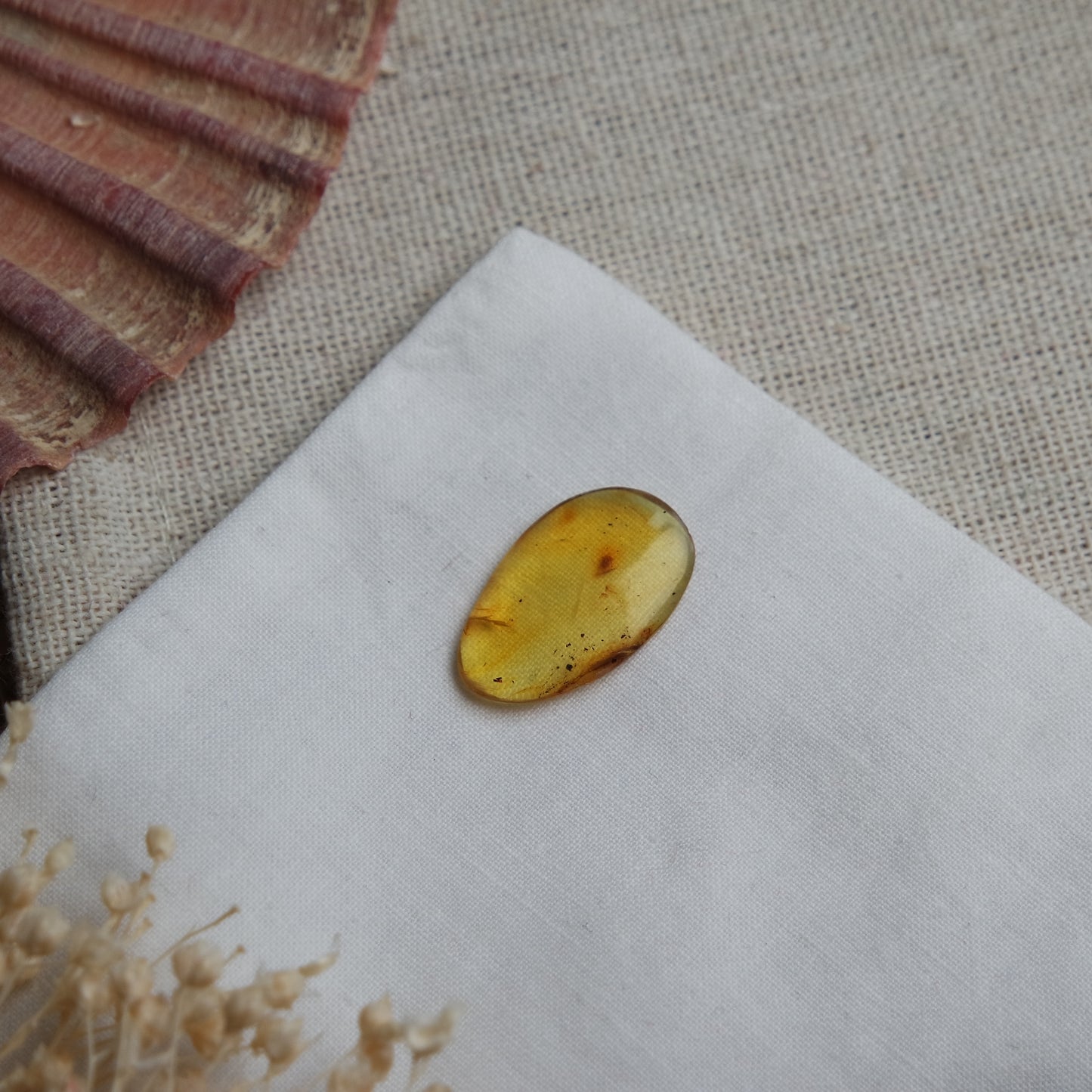Bernstein Cabochon aus der Karibik ~ B5