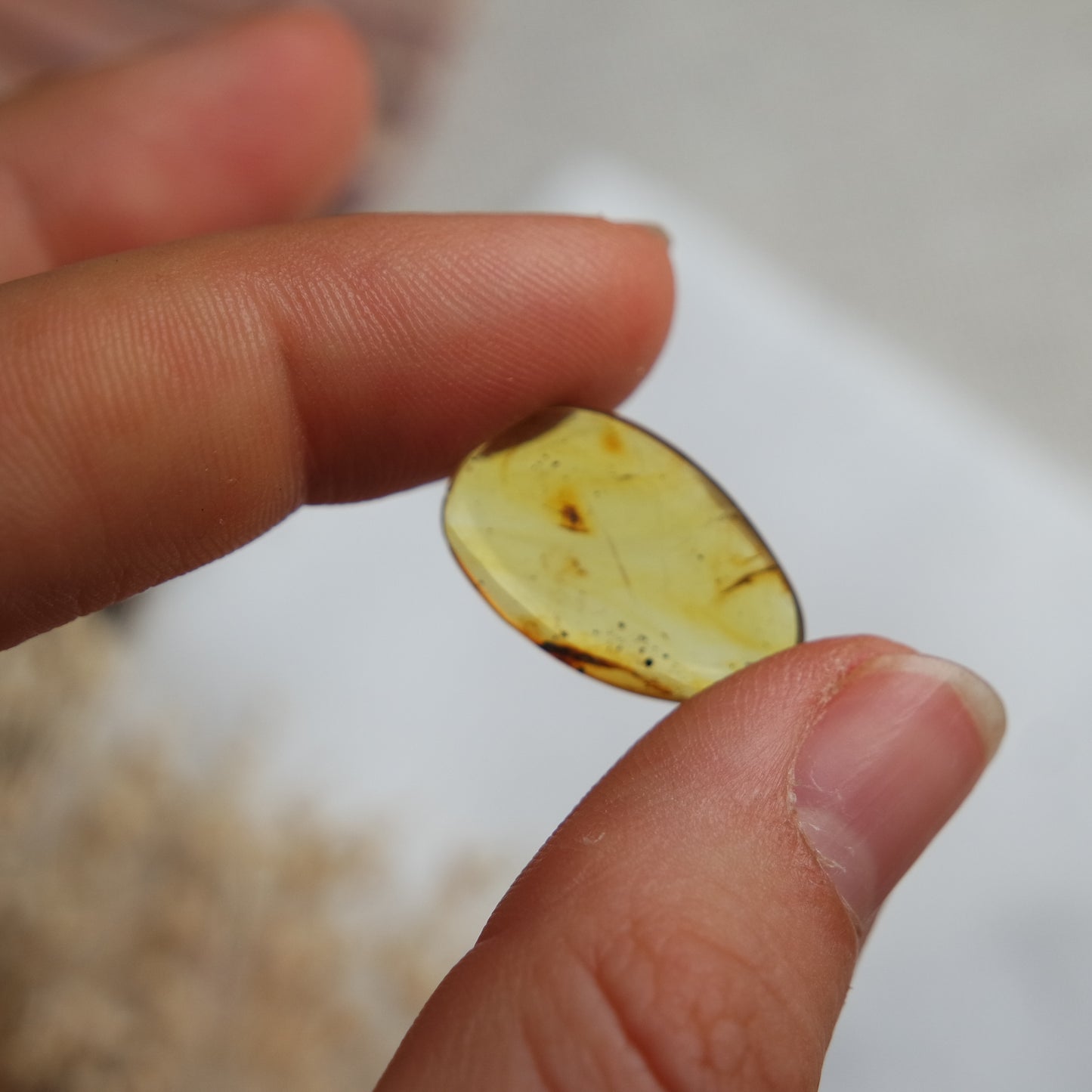 Bernstein Cabochon aus der Karibik ~ B5