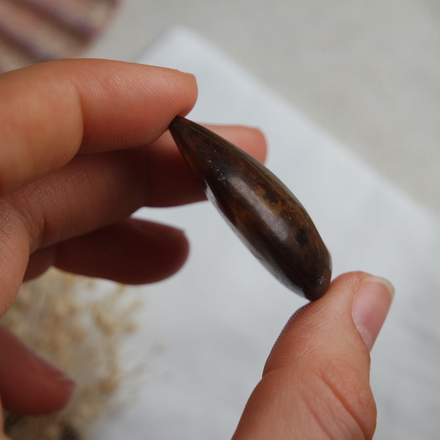 Bernstein Cabochon aus der Karibik ~ B50