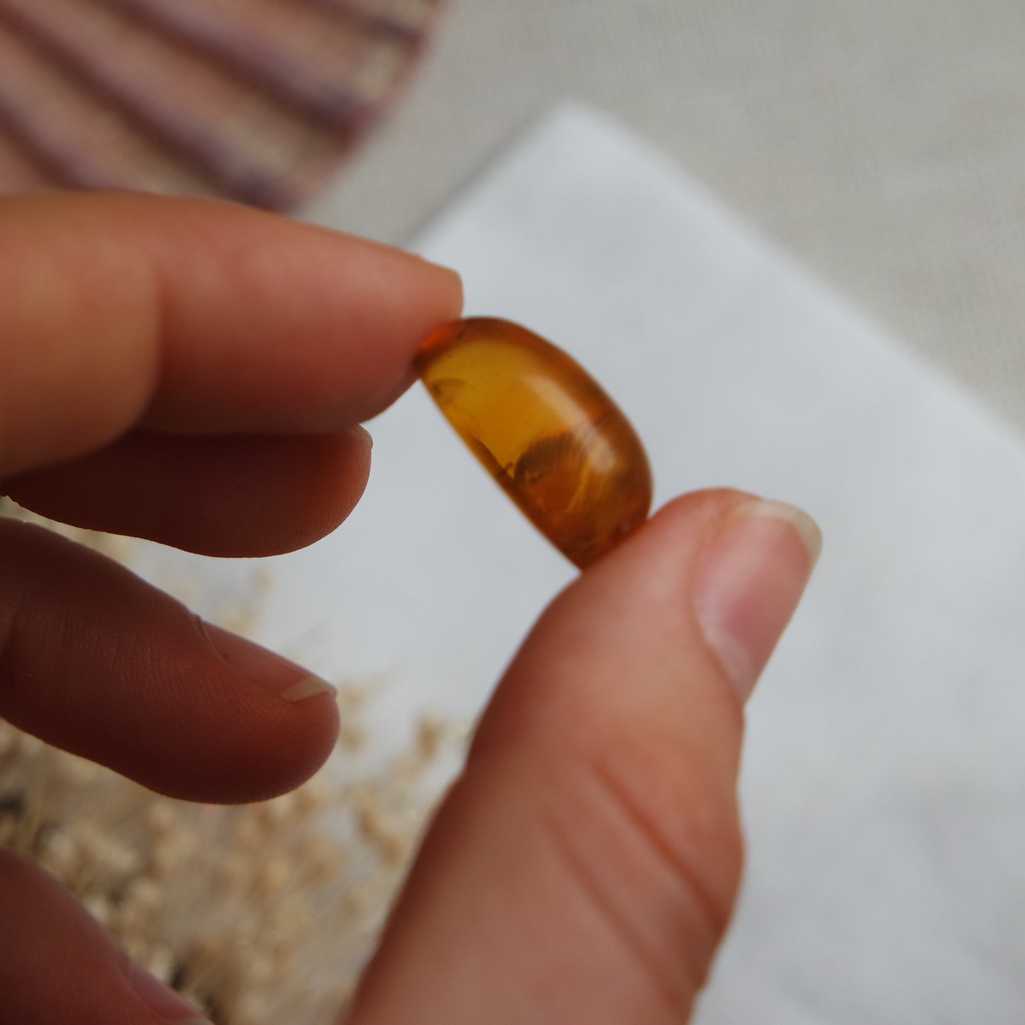 Bernstein Cabochon aus der Karibik ~ BB12