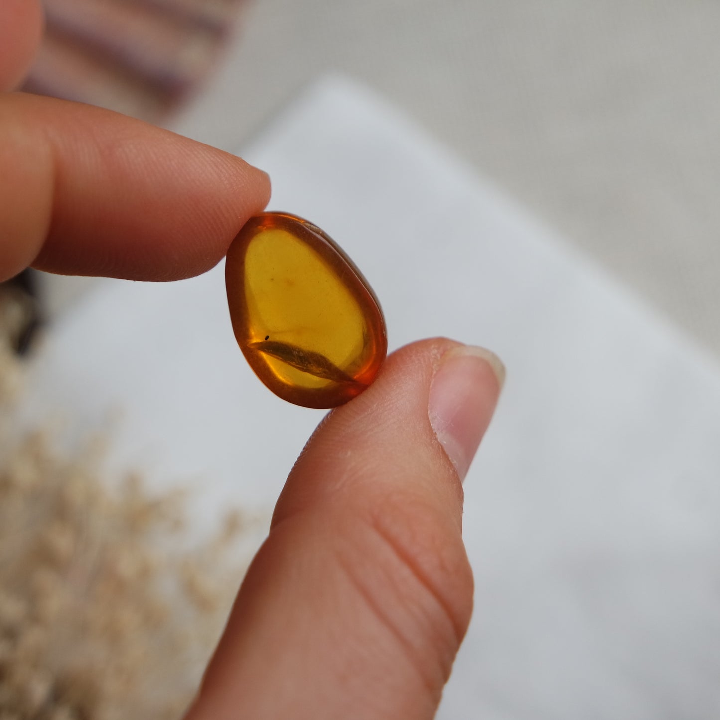 Bernstein Cabochon aus der Karibik ~ BB12