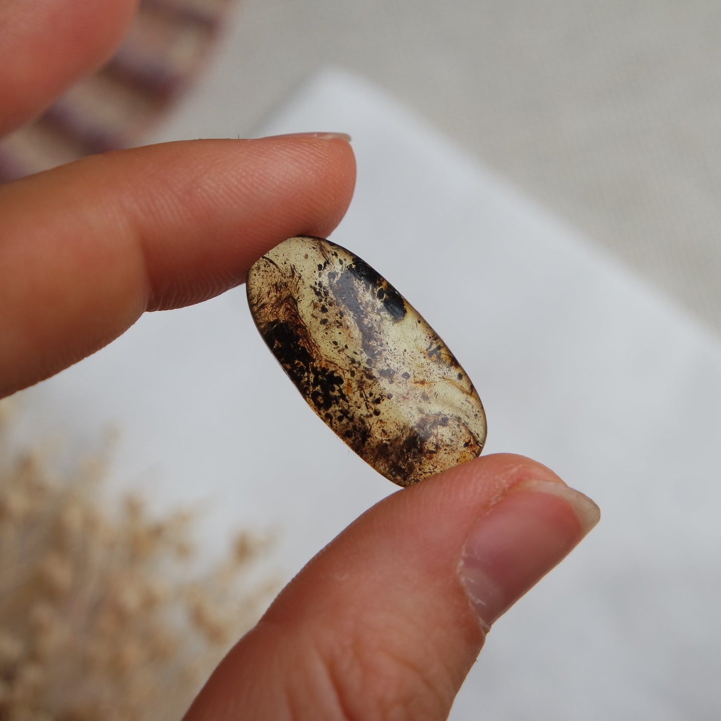 Bernstein Cabochon aus der Karibik ~ B12